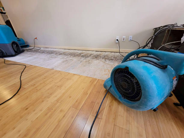 Professional Structural Drying technician working in Pittsfield, IL